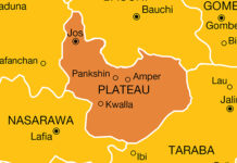 Gunmen attack Plateau community, kill 12, abduct three