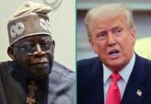 US Lawmakers push for sanctions on Miyetti Allah, others over alleged religious rights abuses in Nigeria