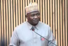 Senate confirms ex-CDS Musa as defence minister